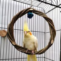 Rattan Ring Bird Cage Chewing Toy With Standing Frame - Natural Apple Branch Braided Ring For Birds