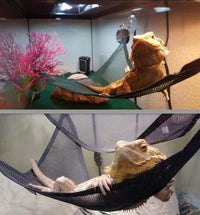 Luxury Reptile Retreat: Premium Dual Hammock Set For Lizards And Snakes