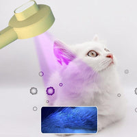 2-In-1 Pet Grooming Tool: Uv Light Hair Remover And Detangling Comb