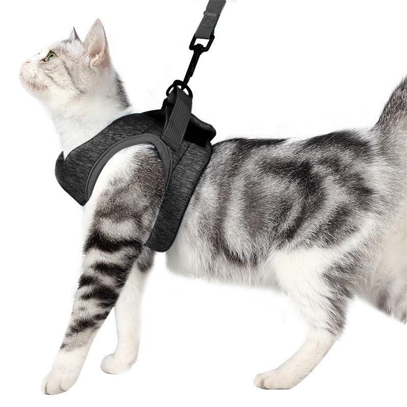 Adventure Cat Leash Vest