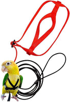 Bird Freedom Harness: Fly And Explore With Your Feathered Friend